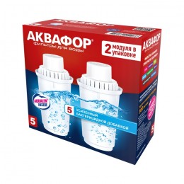 Сменный модуль В5 (В100-5) защита от бактерий (комплект из 2-х штук) в Кинешме